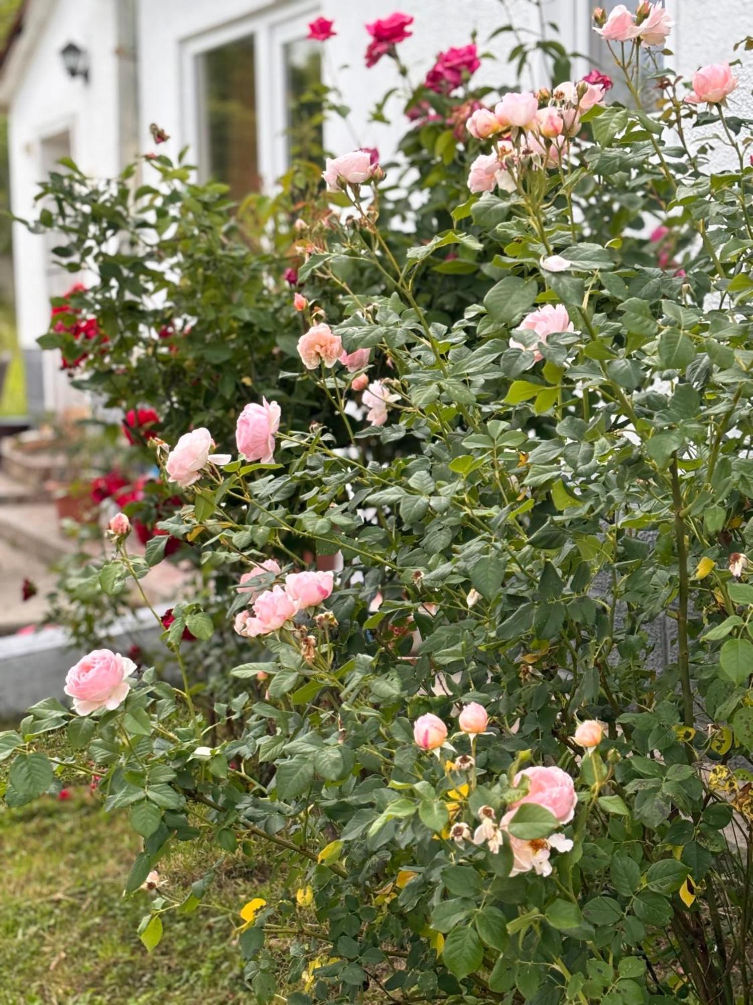 Country House Hatagel Bagian luar foto